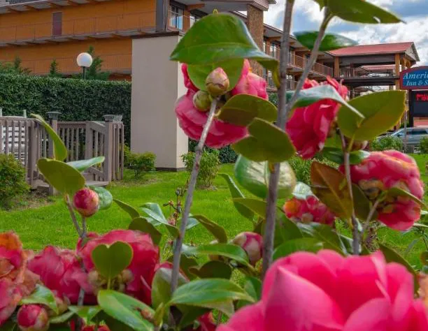 Arbors at Island Landing Hotel & Suites hotel detail image 3