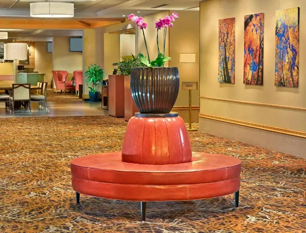 Sheraton Hartford Hotel at Bradley Airport hotel detail image 3