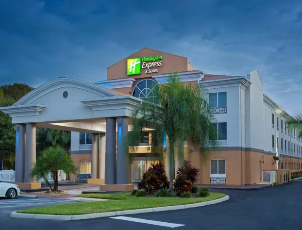 Holiday Inn Express Hotel & Suites Tavares - Leesburg by IHG hotel detail image 1