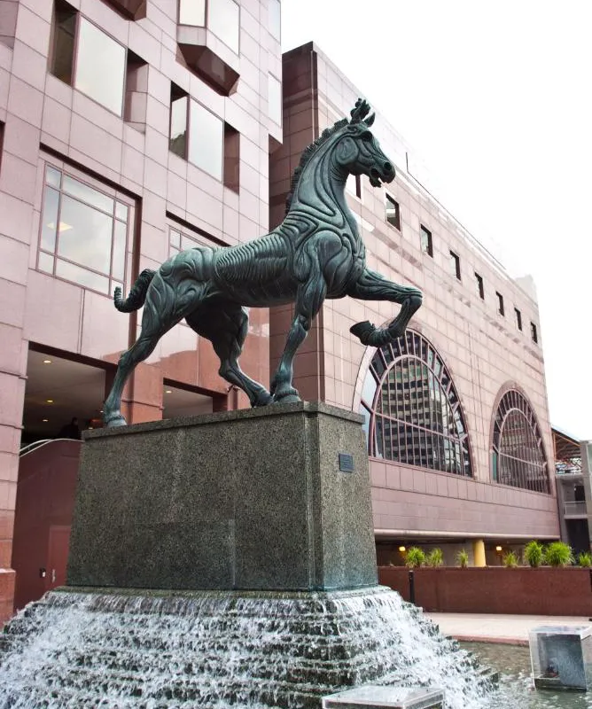 The Buckingham Hotel hotel hero