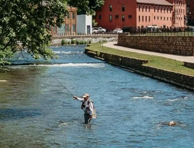 Riffles and Runs B & B hotel detail image 4