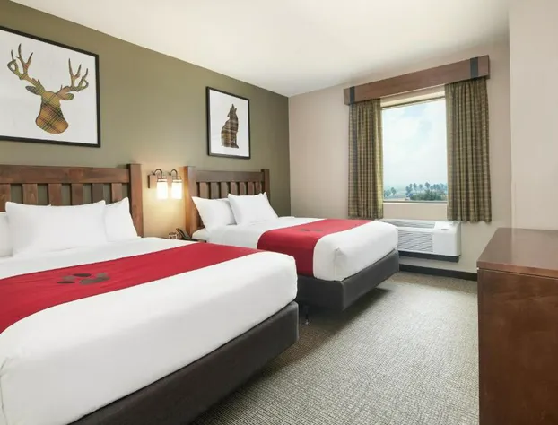 Great Wolf Lodge Cincinnati/Mason hotel detail image 2