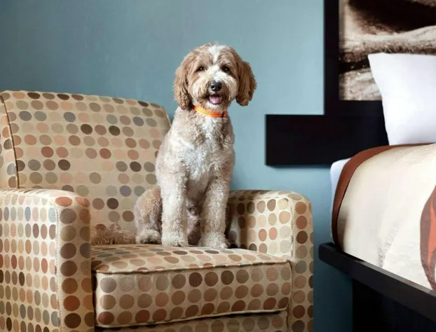 Super 8 by Wyndham Whites Creek/ Nashville NW Area hotel detail image 4