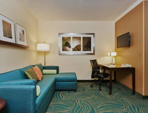 SpringHill Suites Charlotte Lake Norman/Mooresville hotel detail image 4