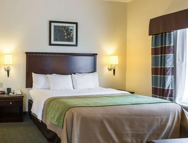 Quality Inn Donaldsonville - Gonzales hotel detail image 3