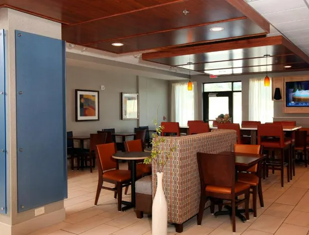 Holiday Inn Express & Suites Omaha South - Ralston Arena by IHG hotel detail image 3