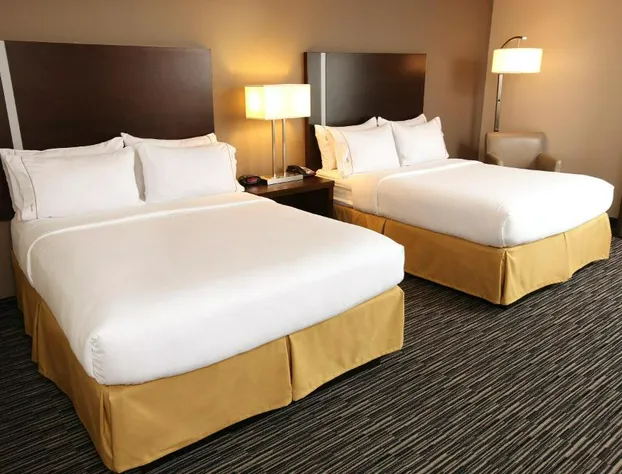 Holiday Inn Express & Suites Omaha South - Ralston Arena by IHG hotel detail image 4