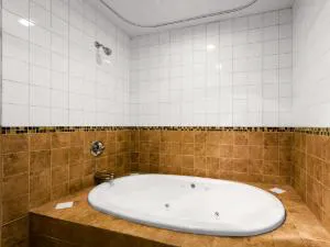 Ramada by Wyndham SeaTac Airport North hotel detail image 2