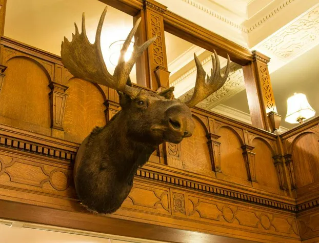 Missouri Athletic Club hotel detail image 2