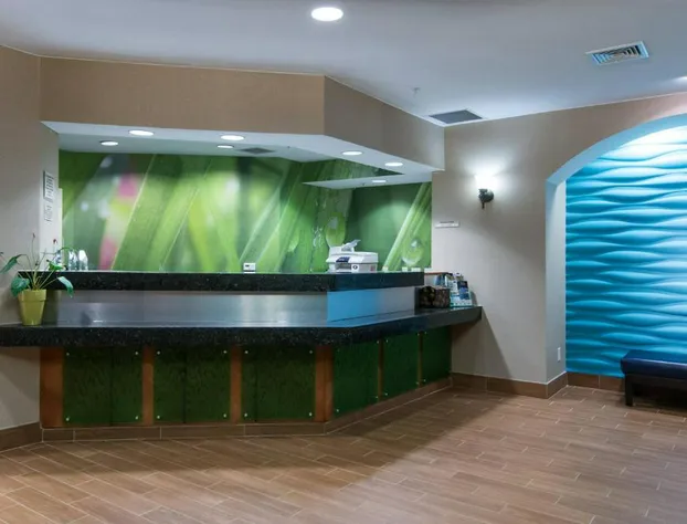 SpringHill Suites by Marriott Greensboro hotel detail image 1