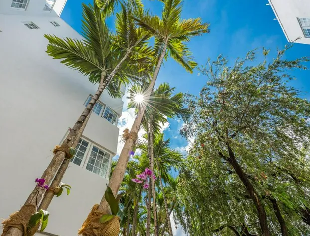 Hotel Belleza hotel detail image 4