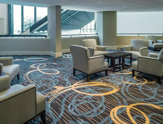 Sheraton North Houston at George Bush Intercontinental hotel detail image 3