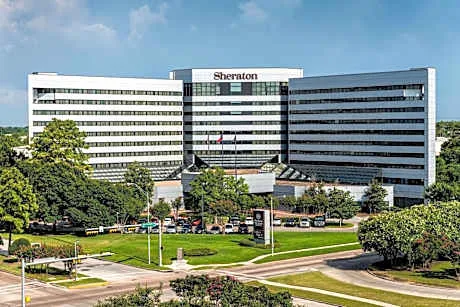 Sheraton North Houston at George Bush Intercontinental hotel detail image 4