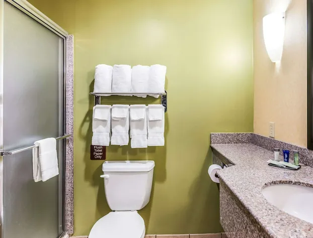 Sleep Inn & Suites Fort Stockton Area hotel detail image 3