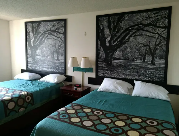 Super 8 by Wyndham Selma/Fresno Area hotel detail image 2