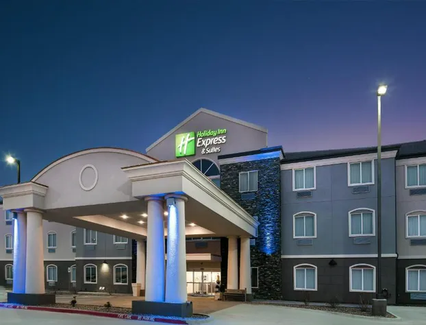 Holiday Inn Express Hotel & Suites Monahans - I-20 by IHG hotel detail image 1