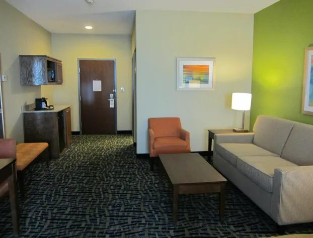 Holiday Inn Express Hotel & Suites Monahans - I-20 by IHG hotel detail image 3