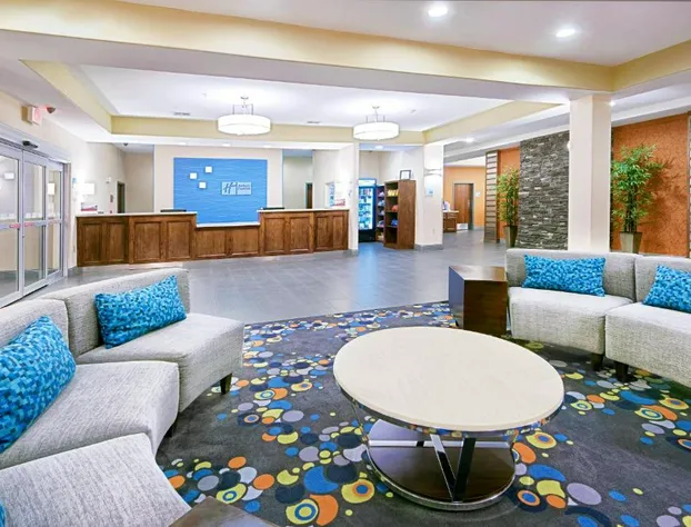 Holiday Inn Express Hotel & Suites Monahans - I-20 by IHG hotel detail image 4