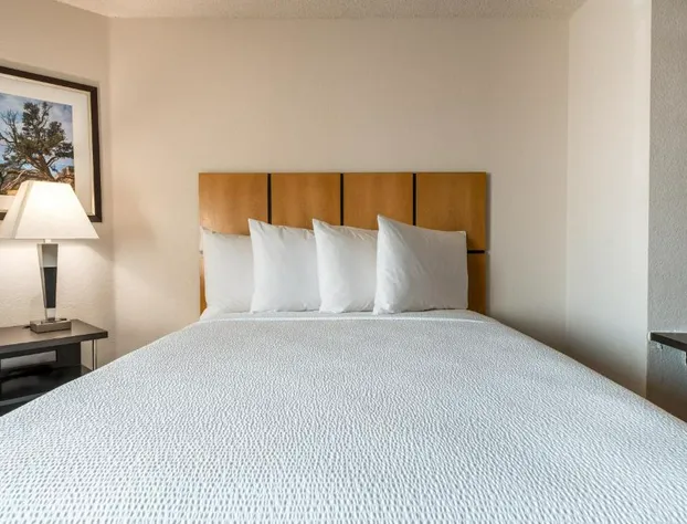 Sonesta Simply Suites Dallas Richardson hotel detail image 4