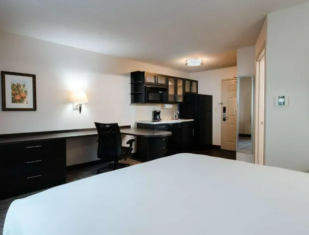 Sonesta Simply Suites Dallas Richardson hotel detail image 2