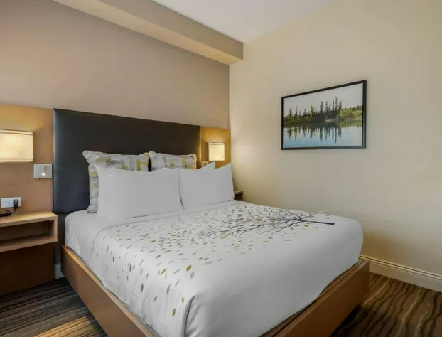 Best Western Plus Sawridge Suites hotel detail image 1