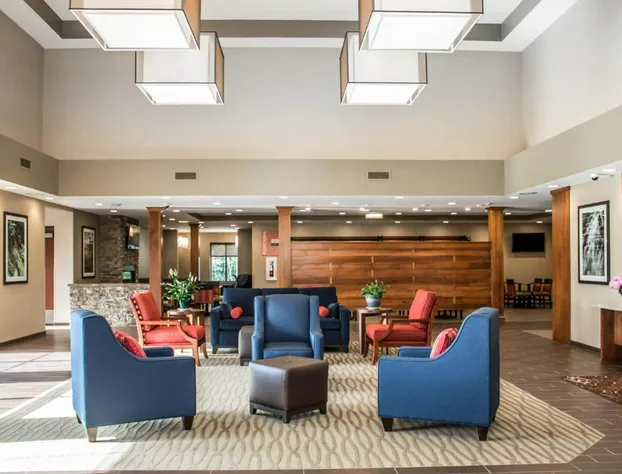 Comfort Suites Hartville - North Canton hotel detail image 2