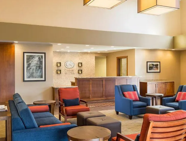 Comfort Suites Hartville - North Canton hotel detail image 4