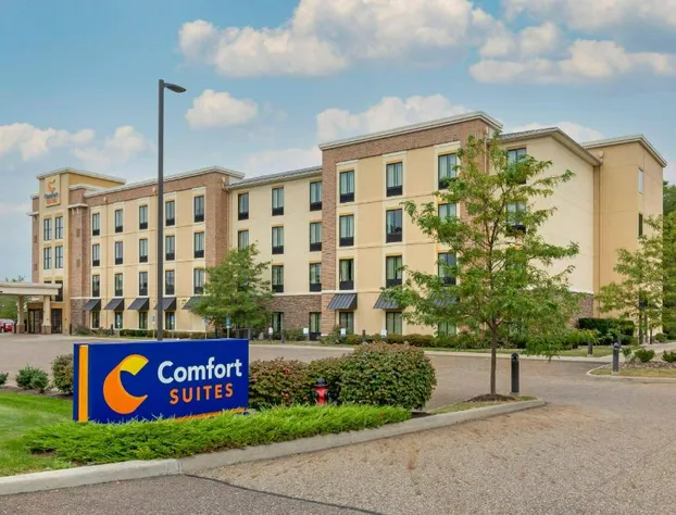 Comfort Suites Hartville - North Canton hotel detail image 2