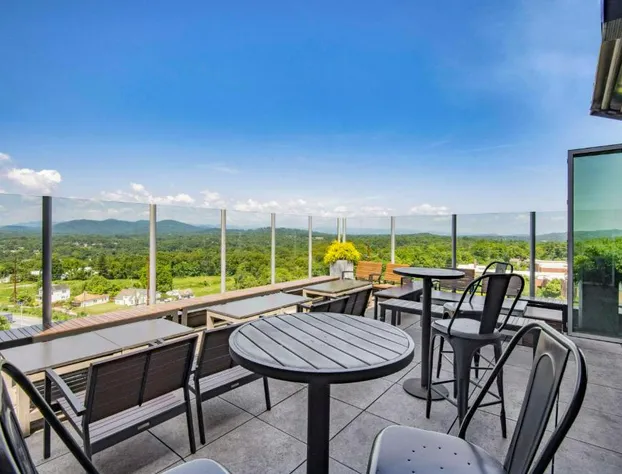 DoubleTree by Hilton Asheville Downtown hotel detail image 3