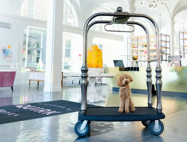 Quirk Hotel Richmond hotel detail image 4