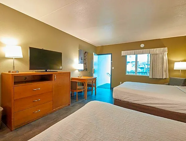 Adventureland Inn hotel detail image 4