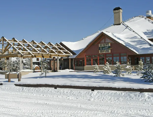Old Faithful Snow Lodge & Cabins - Inside the Park hotel detail image 4