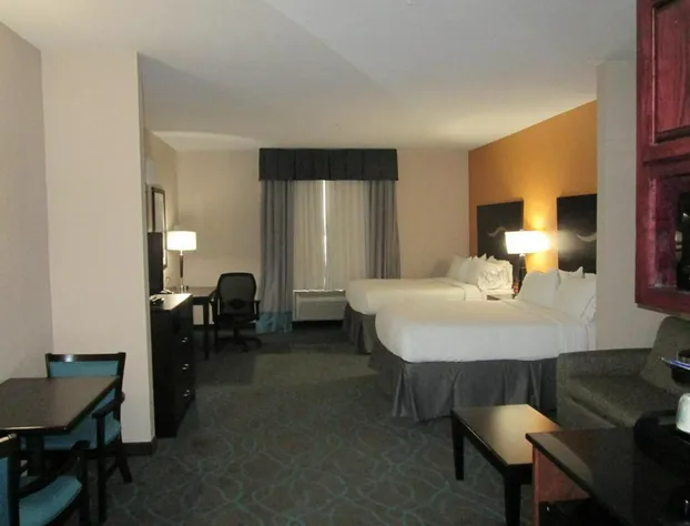 Holiday Inn Express Hotel and Suites Fort Stockton by IHG hotel detail image 3