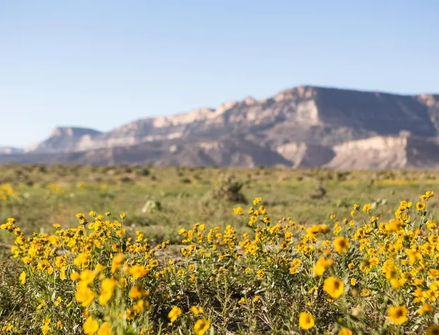 Kayenta Monument Valley Inn hotel detail image 3