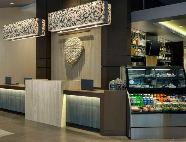 Hyatt Place Chicago/Downtown - The Loop hotel detail image 4