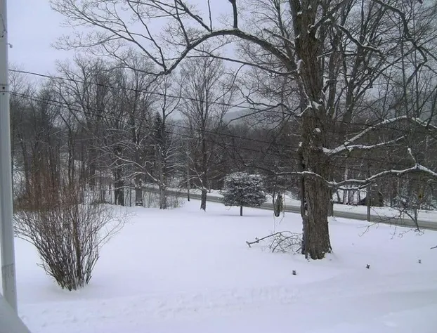 Locust Tree Bed and Breakfast LLC hotel detail image 4