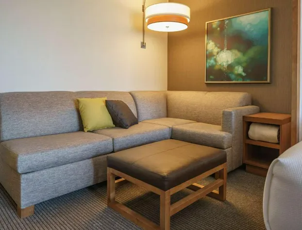 Hyatt Place Houston/Galleria hotel detail image 4