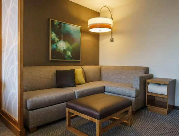 Hyatt Place Houston/Galleria hotel detail image 2