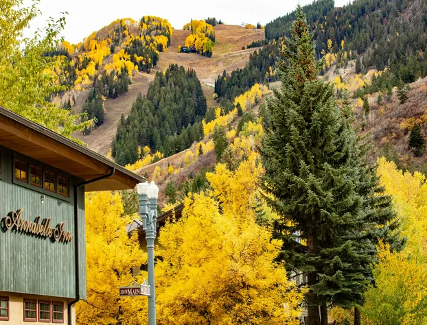 Annabelle Inn hotel detail image 3