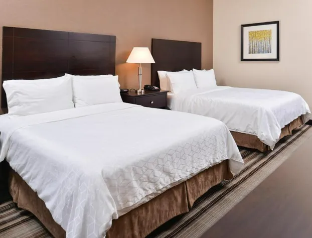 Holiday Inn Express Hotel & Suites Emporia Northwest by IHG hotel detail image 3