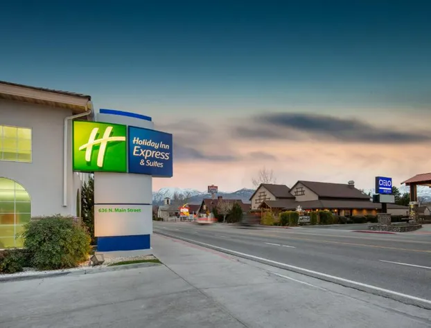 Holiday Inn Express Hotel & Suites Bishop by IHG hotel detail image 2