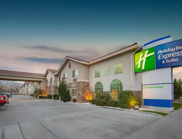 Holiday Inn Express Hotel & Suites Bishop by IHG hotel detail image 1
