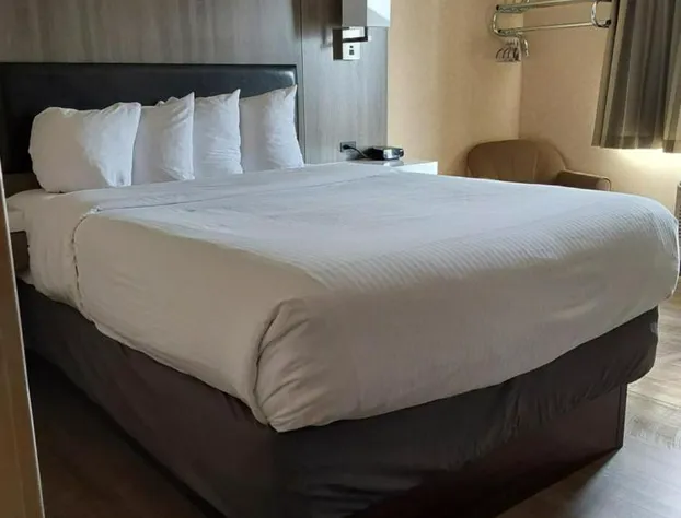 Lavissh Inn & Suites hotel detail image 2