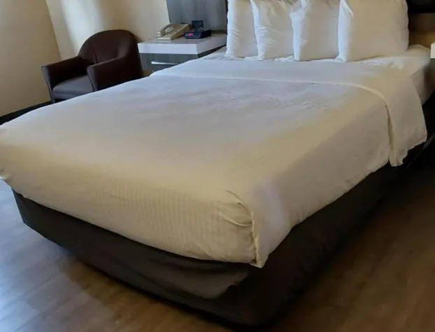 Lavissh Inn & Suites hotel detail image 3