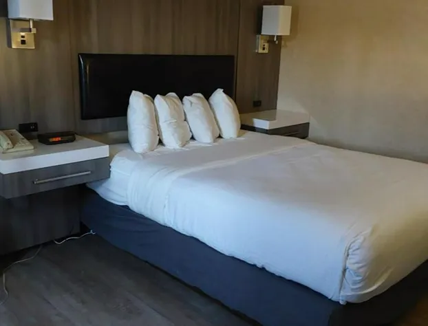 Lavissh Inn & Suites hotel detail image 4