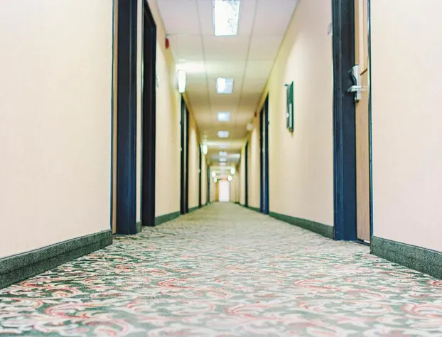 Lavissh Inn & Suites hotel detail image 1