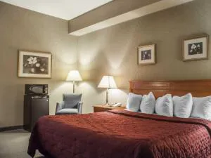 Comfort Inn Lundys Lane hotel detail image 1