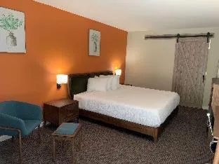 Urban Boutique Hotel, BW Signature Collection hotel detail image 4