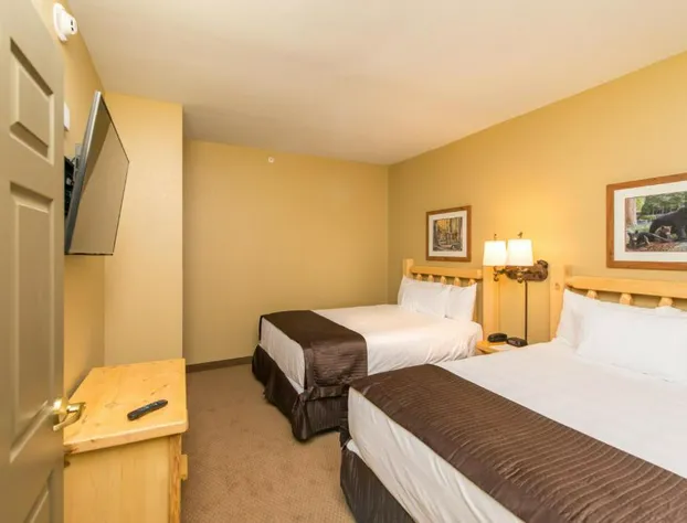 Great Wolf Lodge Concord hotel detail image 4