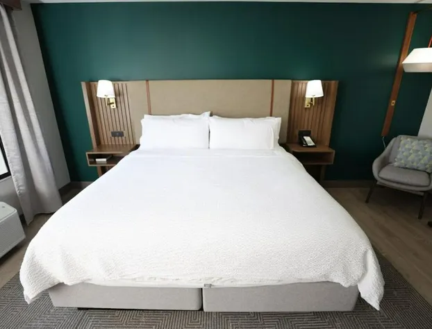Holiday Inn St. Louis Fairview Heights by IHG hotel detail image 2